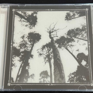 ANCESTORS BLOOD "When the forest calls"