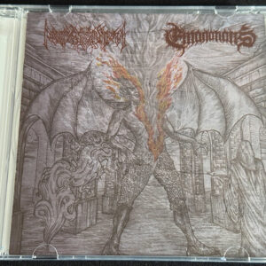 ASVDDHASRTI/EMANATIONS  "Split"