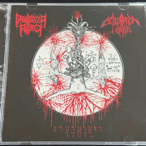DESTROYER ATTACK/DESECRATION OF CHRIST  "Primitive Noise"