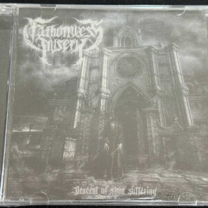 FATHOMLESS MISERY  "Descent Of Slow Suffering"