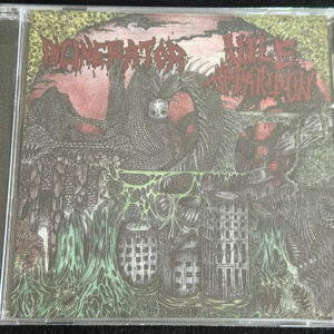 INCINERATOR/VILE APPARITION  "Split"