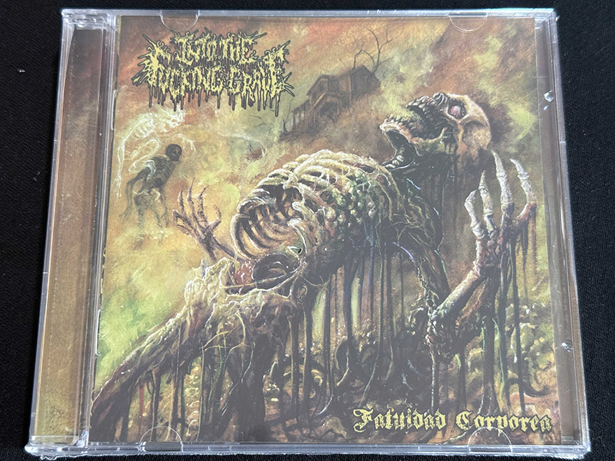 INTO THE FUCKING GRAVE  "Fatuidad Corporea"