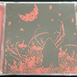 OUTLINE  "Fire Whiplash"