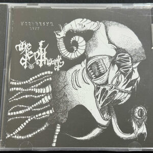 THE DEVIL WORDS  "Immutation Evil"