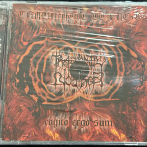 TRAUMATIC VOYAGE  "Cogito Ergo Sum"