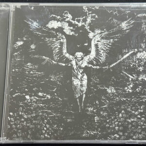 UNSALVATION  "Swansong Of Zion"