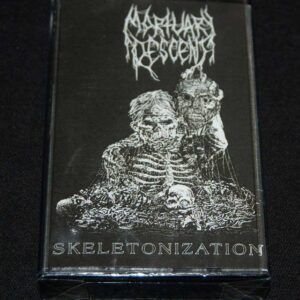 MORTUARY DESCENT  "Skeletonization"