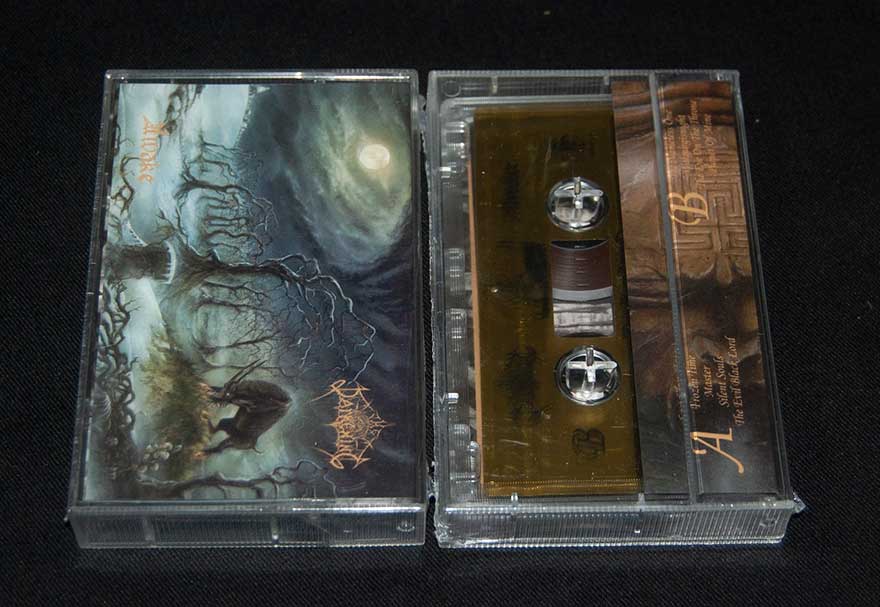 THE DARKENING  "Awake"