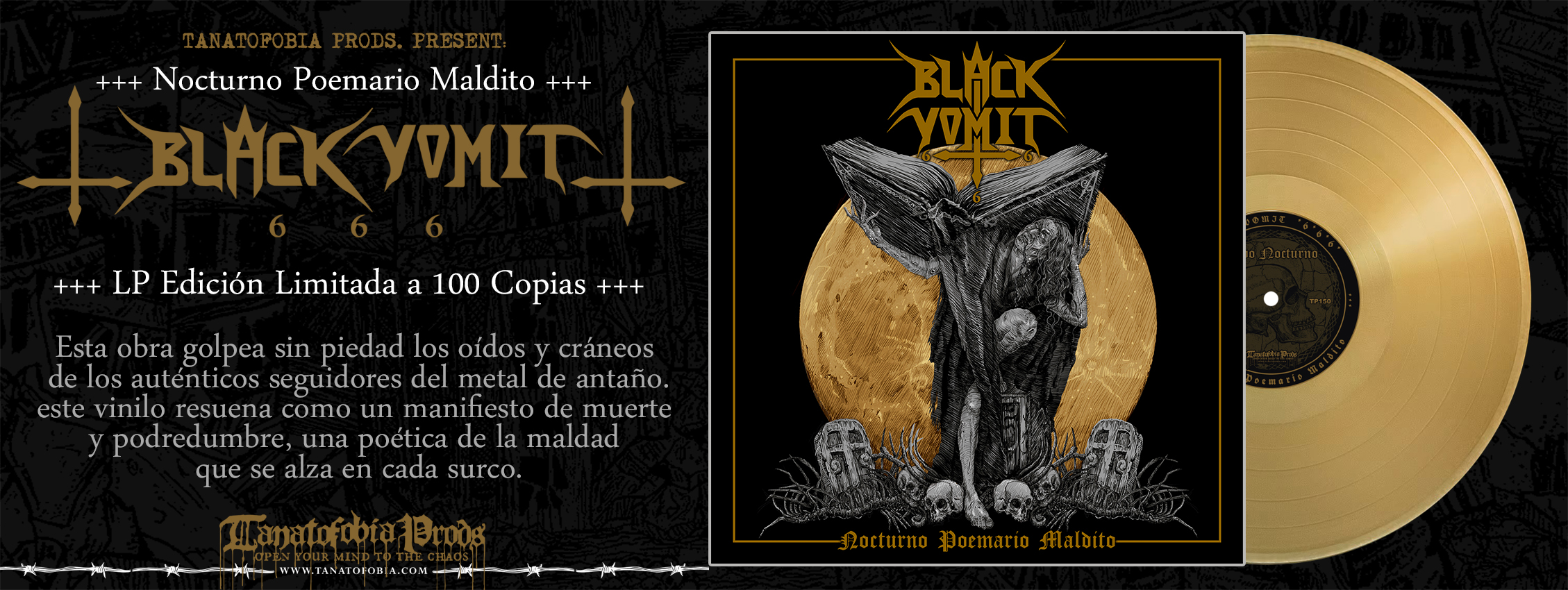 banners web_bv666_lp